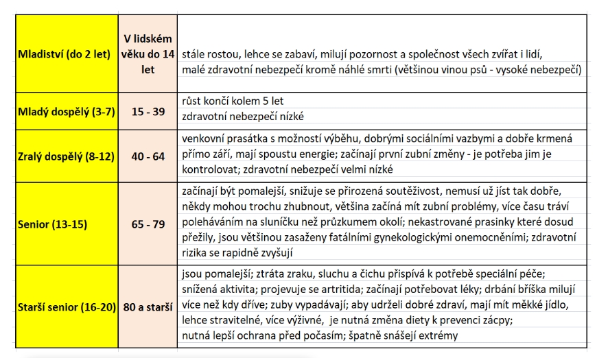 věk miniprasátka